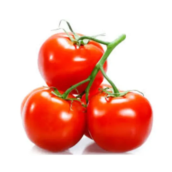 TOMATOES