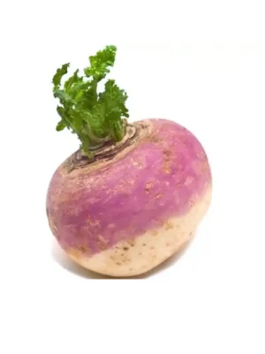 TURNIPS, SINGLE PCS