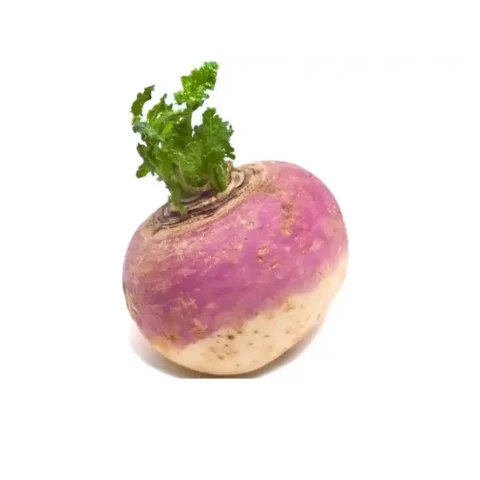 TURNIPS, SINGLE PCS
