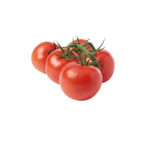 VINE TOMATOES, SINGLE BUNCH