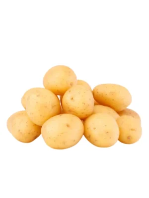WASHED MIDS