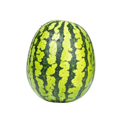 WATERMELON SINGLE PCS