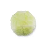 WHITE CABBAGE, SINGLE PCS
