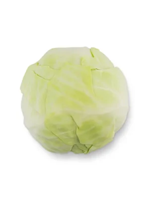 WHITE CABBAGE, SINGLE PCS