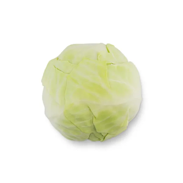 WHITE CABBAGE, SINGLE PCS